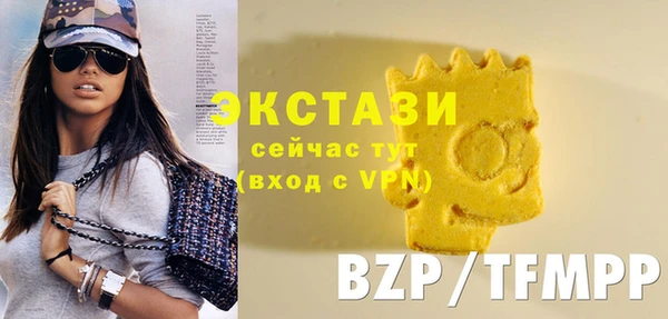 mix Богородицк