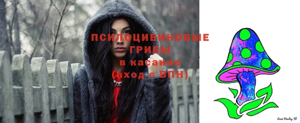 mix Богородицк
