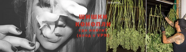 mix Богородицк