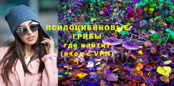 mix Богородицк