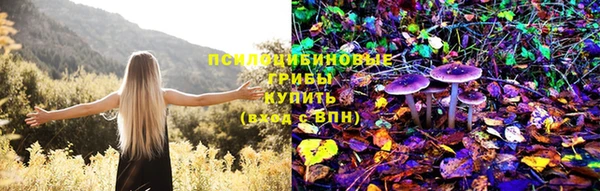 тгк Богородск