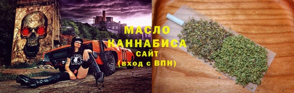 mix Богородицк