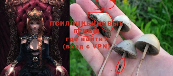 mix Богородицк