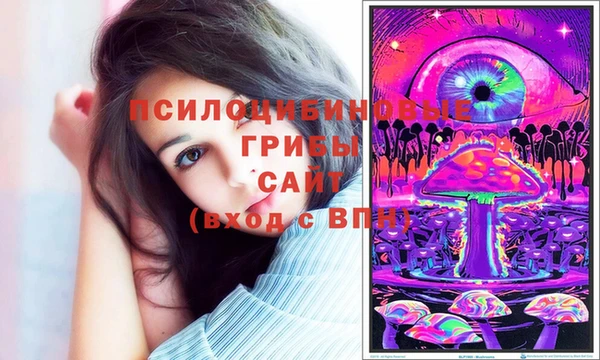 тгк Богородск