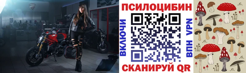 Купить  Завитинск  Псилоцибиновые грибы ЛСД 